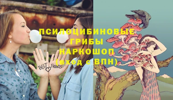 синтетический гашиш Пролетарск