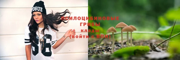 синтетический гашиш Пролетарск