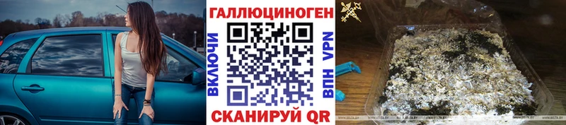 мега маркетплейс как найти Скопин нарко площадка какой сайт Псилоцибиновые грибы Psilocybe